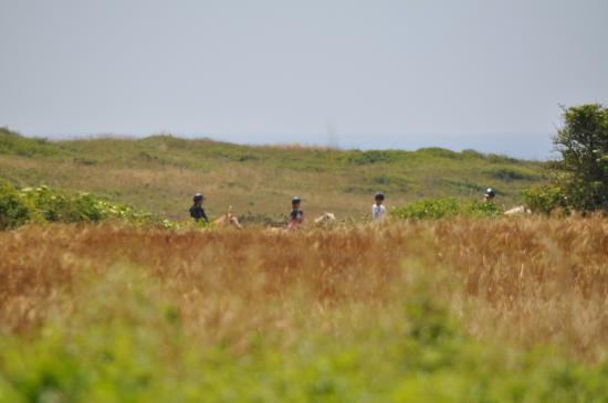centre equestre de feunteun