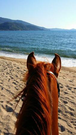 centre equestre de propriano