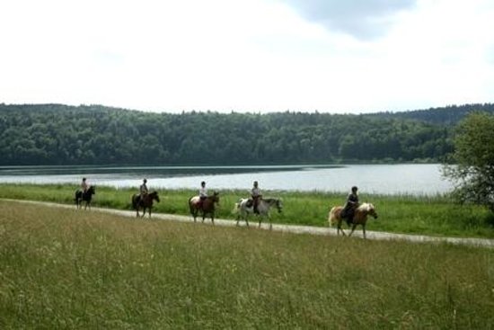 centre equestre de sauveterre