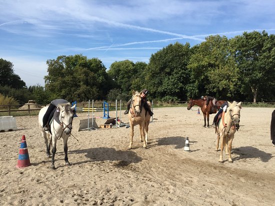 centre equestre des douets