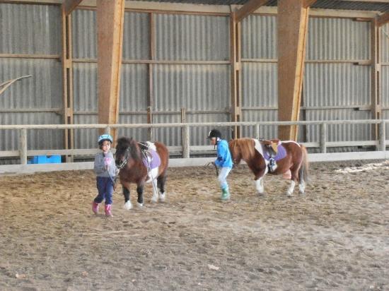 centre equestre du domaine