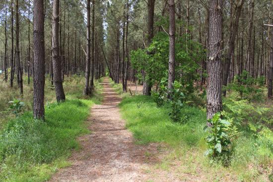 centre equestre hippocom
