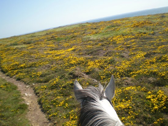 centre equestre l eperon