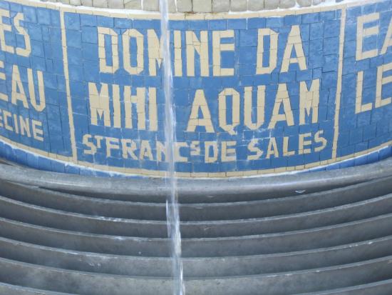 champignon de la versoie