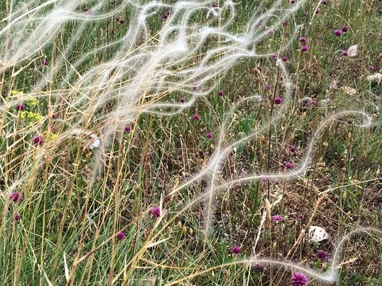chaos de nimes le vieux