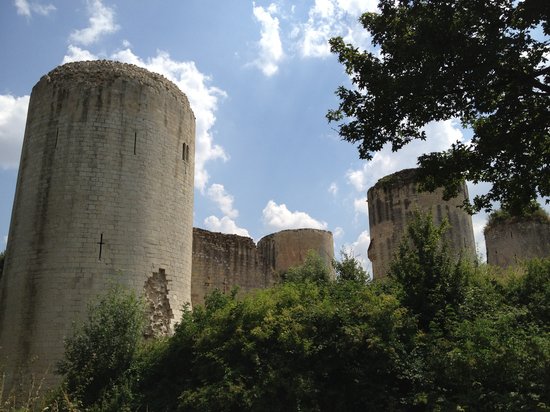 chateau coudray salbart