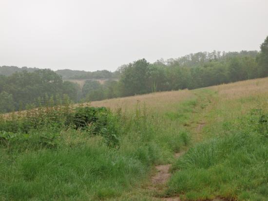 chemin qui mene au viaduc
