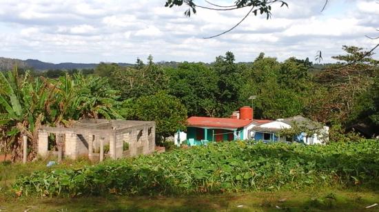 cheval rando equitation