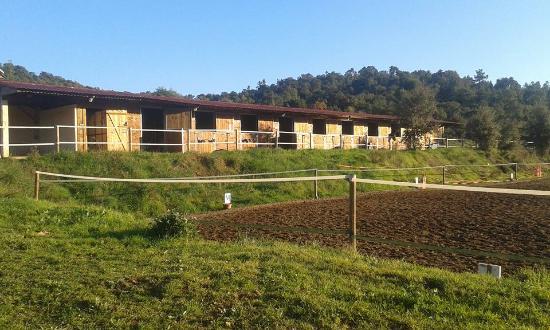 club hippique de la londe