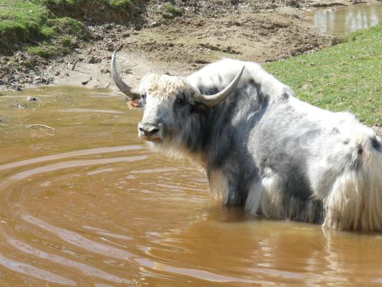 conservatoire varois