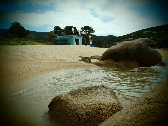 corsica diving center