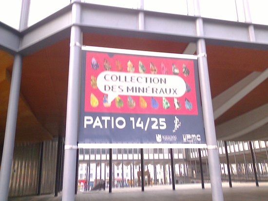 dans l universite p et