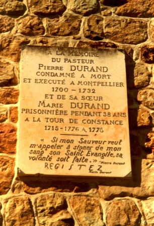 dans la tourmente de