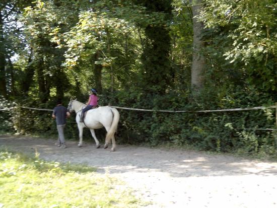 decouverte equestre reussie