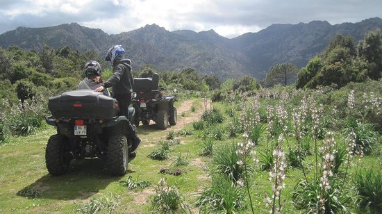 destination adrenaline