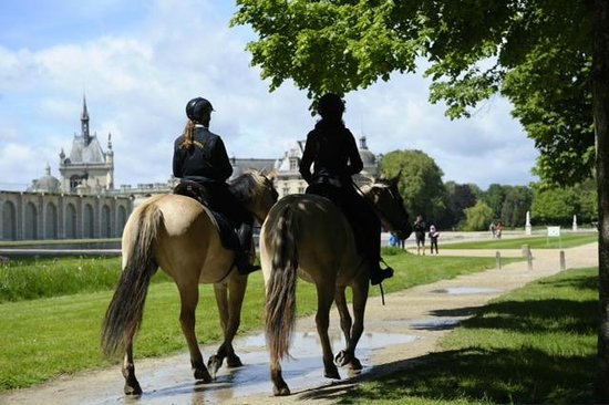 espace equestre henson 1