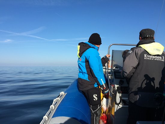 evolution 2 made in blue