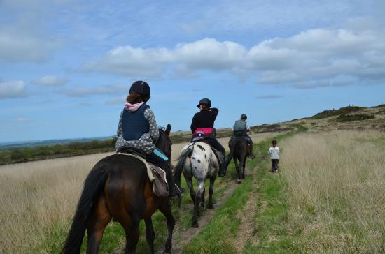 ferme equestre la haie