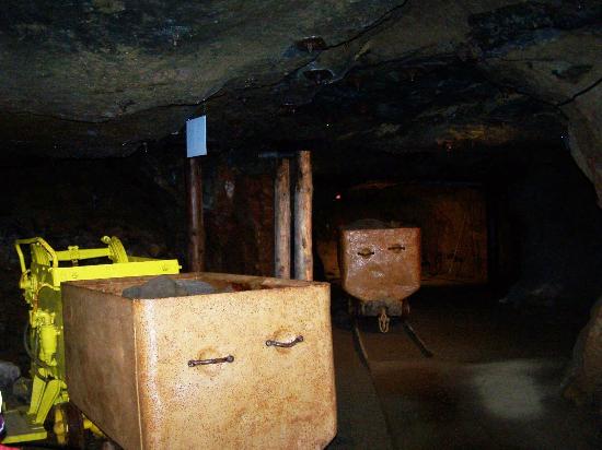 filename 100 9432 jpg