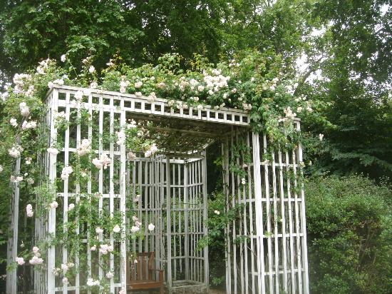 filename 353 jpg thumbnail0