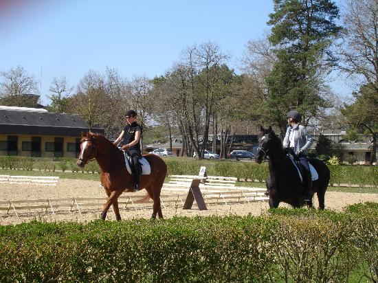 filename dsc03652 jpg