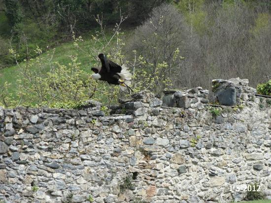 filename dsc04693 jpg