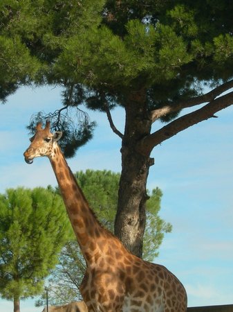 filename dscn5133 jpg