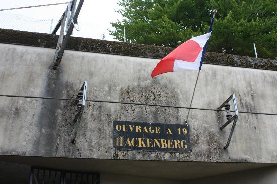 filename img 3335 jpg