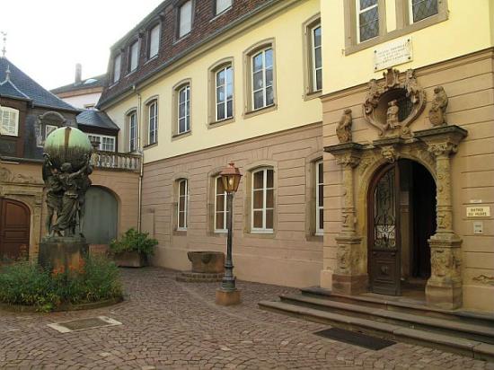 filename img 5993 1 jpg