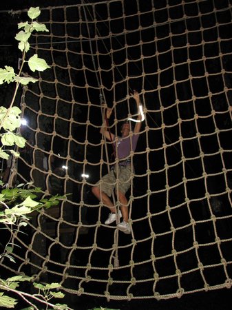 fun forest parcours aventure