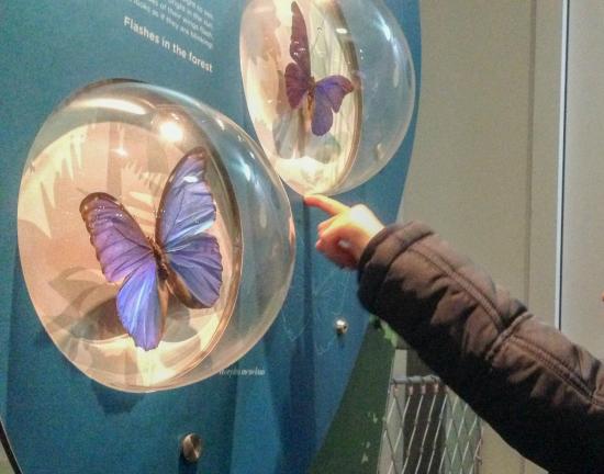 galerie des enfants du