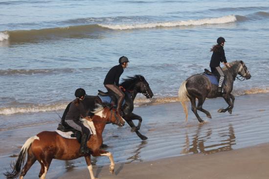 galop sur la plage quel