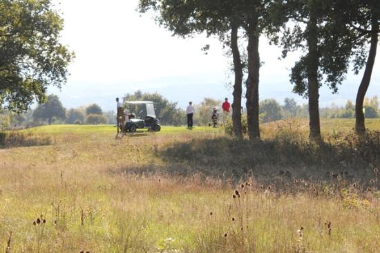 getlstd property photo 281