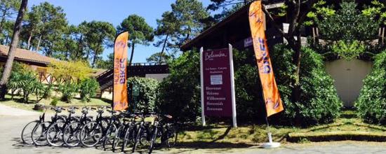 getlstd property photo 288