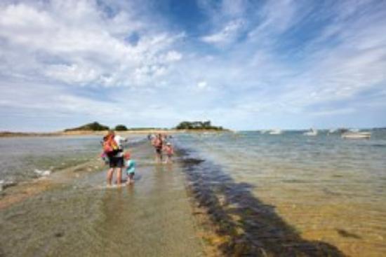 getlstd property photo 289