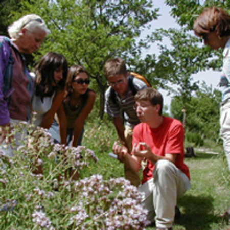 getlstd property photo 294