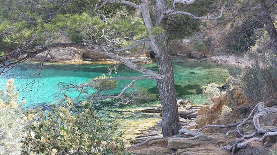 getlstd property photo 301