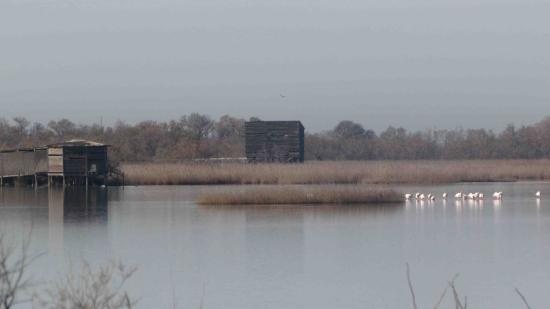 getlstd property photo 307