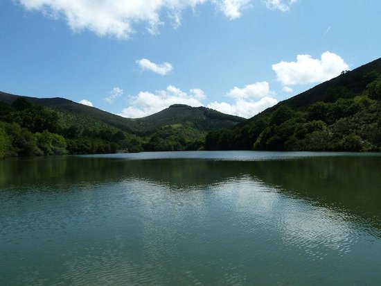 getlstd property photo 312