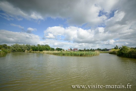 getlstd property photo 314