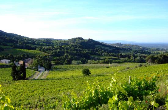 getlstd property photo 315