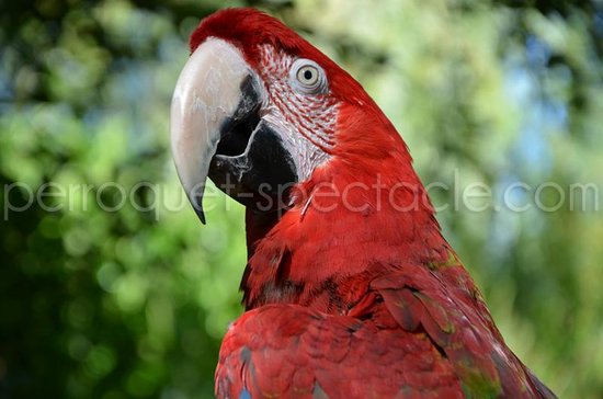 getlstd property photo 319