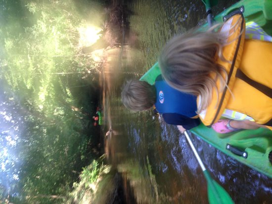 getlstd property photo 321