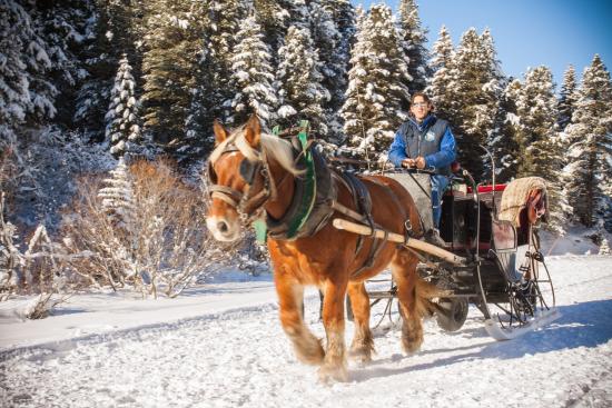 getlstd property photo 322