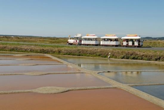 getlstd property photo 325