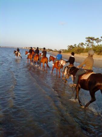 getlstd property photo 330