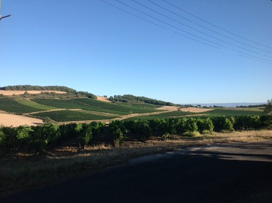 getlstd property photo 338