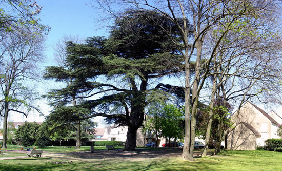 getlstd property photo 353