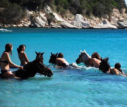 getlstd property photo 365