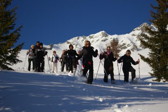 getlstd property photo 369